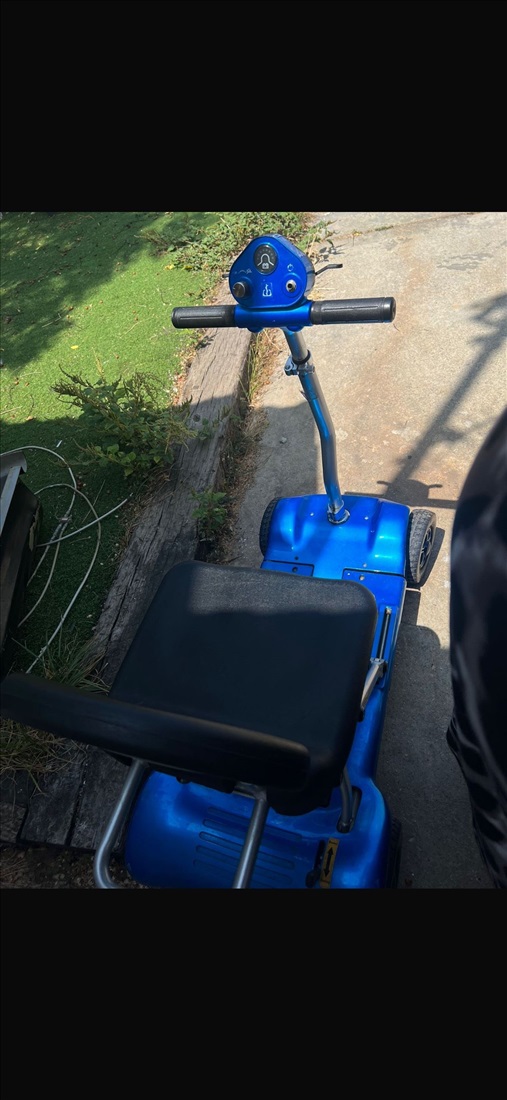 תמונה 3 ,קלנואית למכירה בכפר יונה שונות  שונות