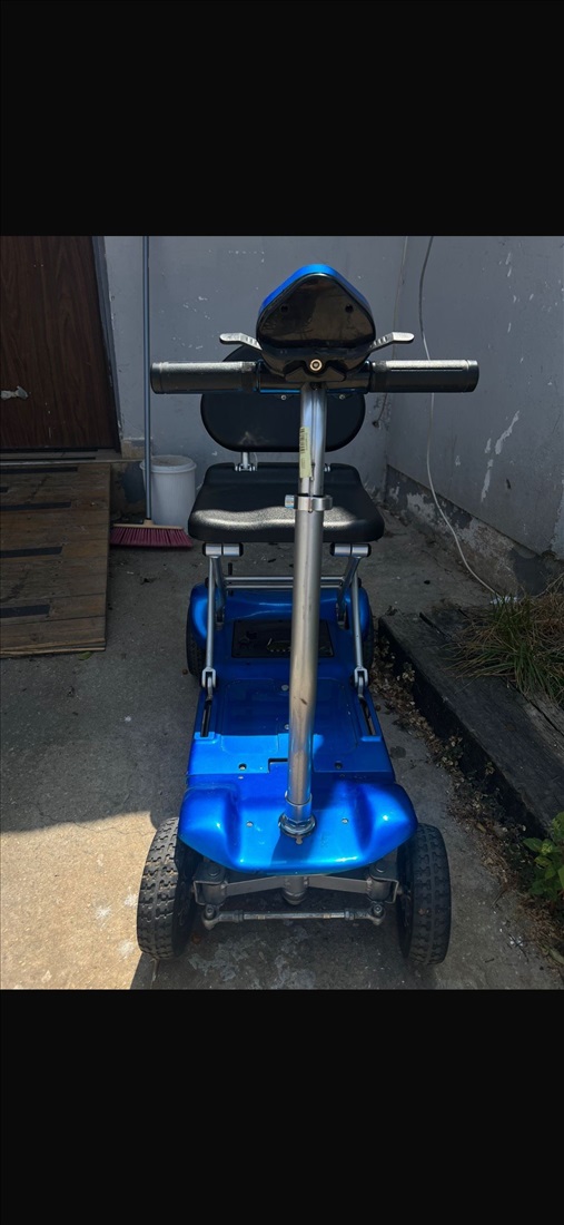 תמונה 4 ,קלנואית למכירה בכפר יונה שונות  שונות