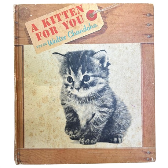 תמונה 1 ,ספר A Kitten for You  למכירה בנתניה ספרות ומאמרים  שפה זרה