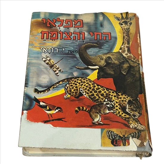 תמונה 1 ,מפלאי החי והצומח 1963 למכירה בנתניה ספרות ומאמרים  ספרי עיון ואלבומים