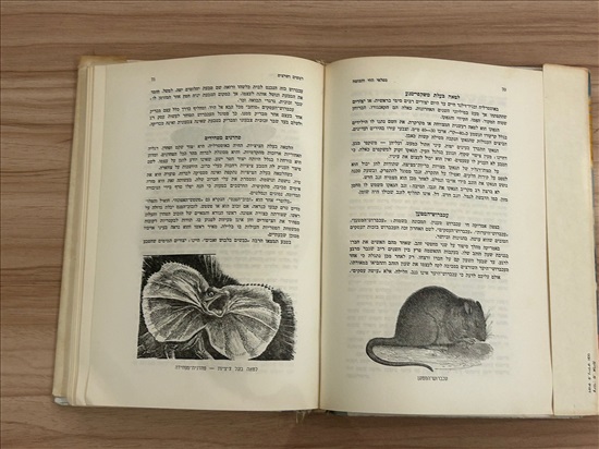 תמונה 4 ,מפלאי החי והצומח 1963 למכירה בנתניה ספרות ומאמרים  ספרי עיון ואלבומים