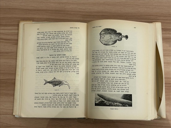 תמונה 6 ,מפלאי החי והצומח 1963 למכירה בנתניה ספרות ומאמרים  ספרי עיון ואלבומים