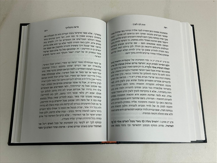 תמונה 12 ,ספר הגיון לבי לפניך על התורה למכירה בנתניה ספרות ומאמרים  ספרי עיון ואלבומים