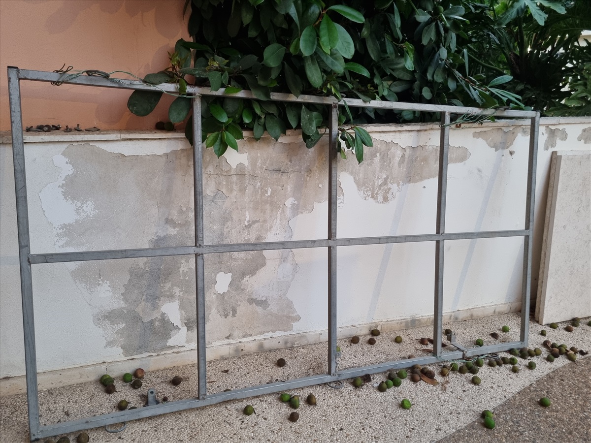תמונה 1, גגון לרכב | אביזרים פרטיות | שונות
