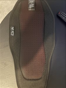 מגן גב Alpinestars          