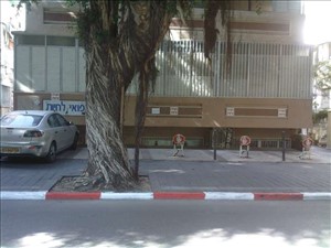 חניה פרטית השכרה בתל אביב יפו ריינס 
