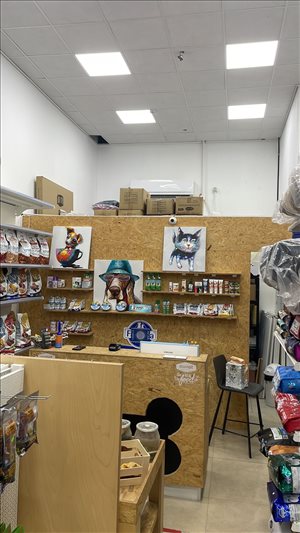 חנויות השכרה בבאר שבע יצחק בן צבי 10 