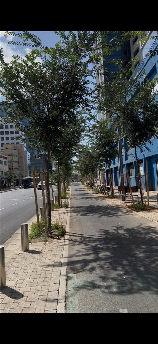 תמונה 4 ,משרדים להשכרה, המסגר 52, מונטיפיורי בתל אביב יפו
