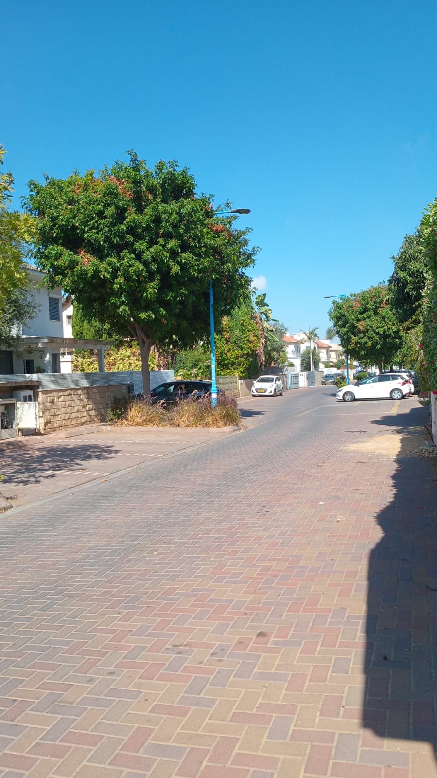 תמונה 1, משרדים להשכרה, הטייסים, haotsar בחדרה