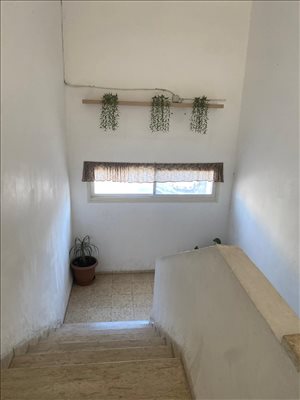 חנויות מכירה בבית שאן  שאול המלך  