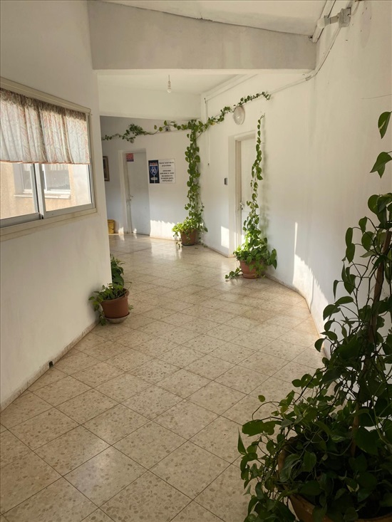 תמונה 6 ,חנויות למכירה, שאול המלך , צפון בבית שאן 