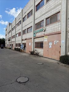מבני תעשיה להשכרה, אדום, תרדיון  
