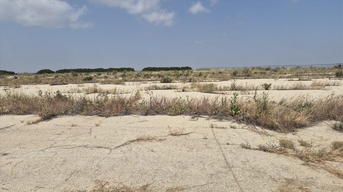 תמונה 1, מגרשים להשכרה, מטה יהודה בנחשון