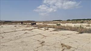 מגרשים להשכרה, , נחשון  