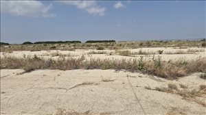 מגרשים השכרה בנחשון  