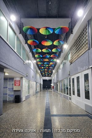 חנויות השכרה בנתניה סמילנסקי 