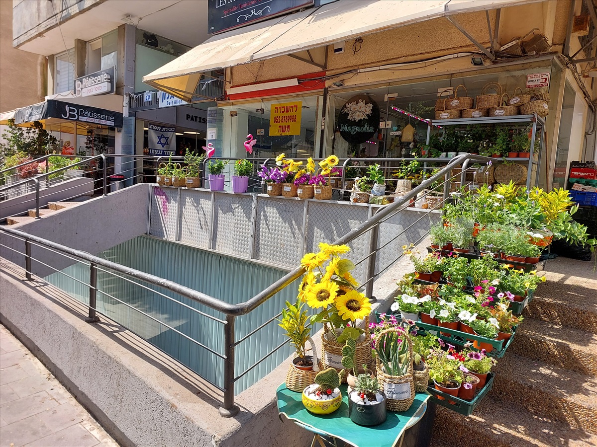 תמונה 2, חנויות להשכרה, סמילנסקי, מרכז בנתניה