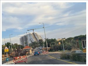 מגרשים מכירה בעץ אפרים  