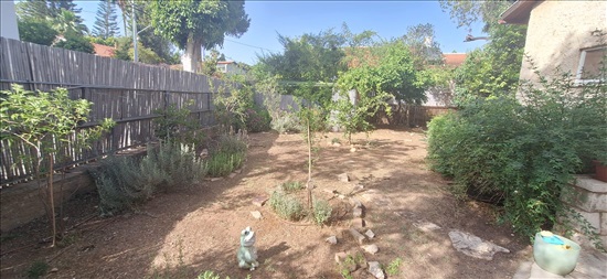 תמונה 1 ,מגרשים להשכרה, יוסף צבי  תל גנים רמת גן