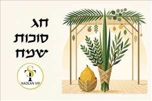 חנויות להשכרה, ראול ולנברג להשכרה 65 מר חנות בקומת... 