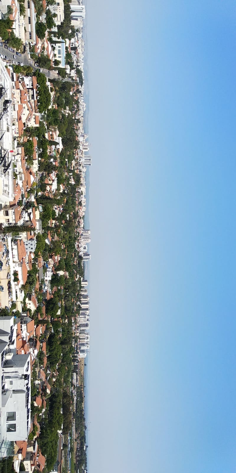 תמונה 2, דירה 4 חדרים להשכרה ברחובות, יעקב תמרי, חצרות המושבה