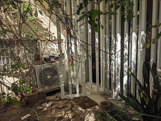 תמונה 4 ,דירת גן 3.5 חדרים להשכרה בתל אביב יפו פרוג גורדון