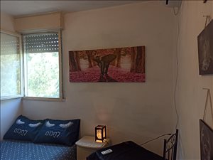 דירה לשותפים 3 חדרים בחיפה ברנר 