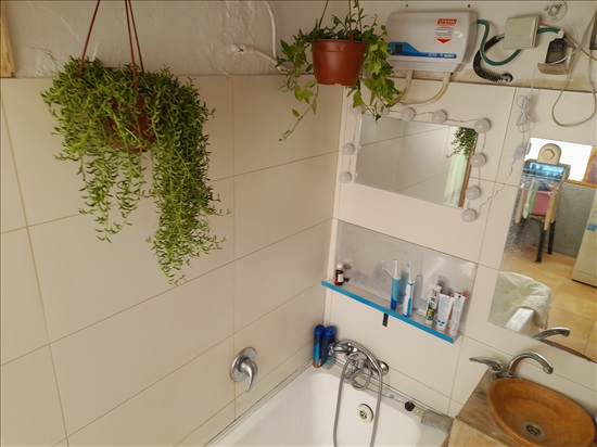 תמונה 4 ,דירת גג 3 חדרים להשכרה בתל אביב יפו, הקונגרס, נווה שאנן
