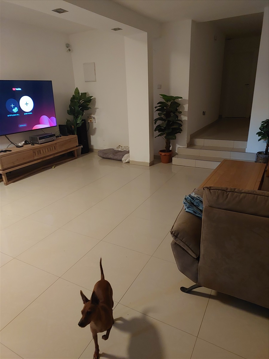 תמונה 1, דירת גן 1 חדרים להשכרה בפתח תקווה, שלום מרחבי, מחנה יהודה
