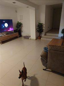 דירת גן לשותפים 1 חדרים בפתח תקווה שלום מרחבי 