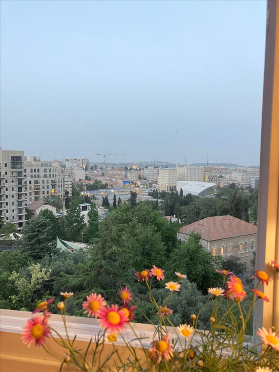 תמונה 6 ,דירה 3 חדרים להשכרה בירושלים, המלך ג'ורג', מרכז העיר