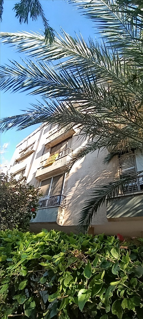תמונה 11 ,דירה 4 חדרים להשכרה בהרצליה, קלישר 12 , הרצליה הירוקה
