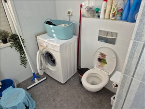 דירה לשותפים 1 חדרים בהרצליה פינסקר 