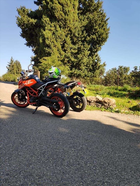 תמונה 2, ק.ט.מ / KTM דיוק 390 יד 1   2018 | 6000 קמ