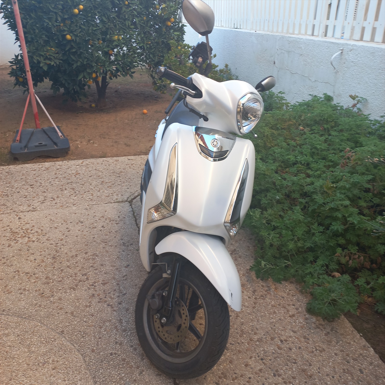 תמונה 2, ימאהה אחר יד 1   2023 | 0 קמ