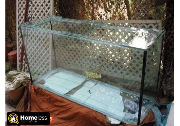 תמונה 1 ,דגים אחר   New, Stylish Glass Aquarium &   בtel aviv
