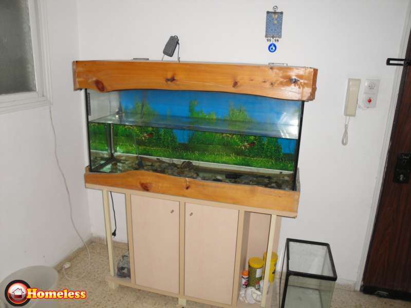 תמונה 1 ,דגים אקוואריום   אקווריום למכירה ברמת גן