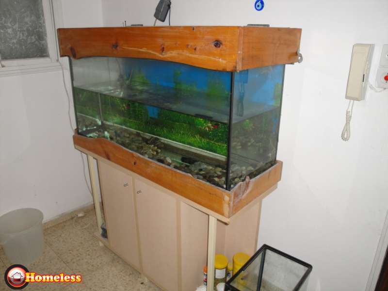 תמונה 3 ,דגים אקוואריום   אקווריום למכירה ברמת גן