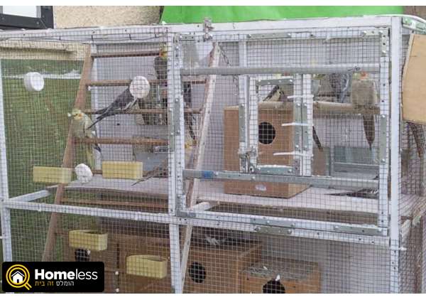 תמונה 3 ,תוכים ובעלי כנף ציוד ואביזרים   כלובים למכירה במשמר אילון