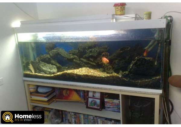 תמונה 1 ,דגים אקוואריום   אקווריום למכירה ב