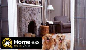 תמונה 4 ,כלבים ציוד ואביזרים   שטיחון חשמלי גדר חכמה למכירה בראשון לציון