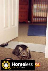 תמונה 2 ,חתולים ציוד ואביזרים   שטיחון חשמלי לחסימת אזור בבית למכירה בראשון לציון