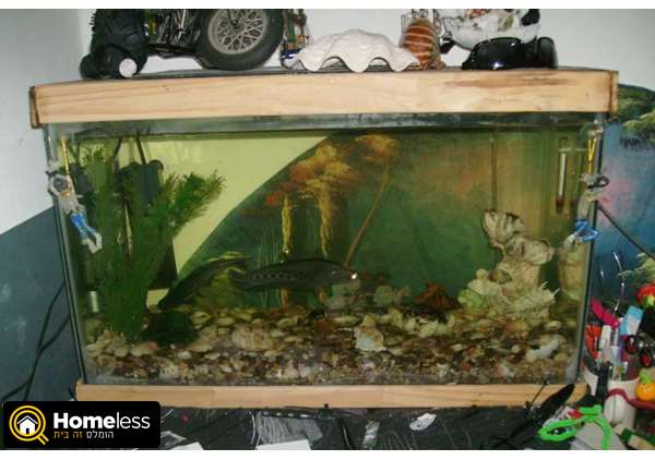 תמונה 1 ,דגים אקוואריום   אקווריום  למכירה ב