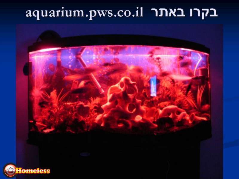 תמונה 2 ,דגים ציוד ואביזרים   תאורת לד עם שלט IP68לאקווריום  למכירה בירושלים