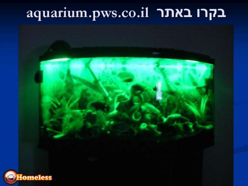 תמונה 3 ,דגים ציוד ואביזרים   תאורת לד עם שלט IP68לאקווריום  למכירה בירושלים