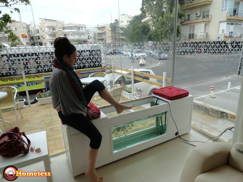 תמונה 1 ,דגים אקוואריום   דג למכירה בתל אביב -יפו