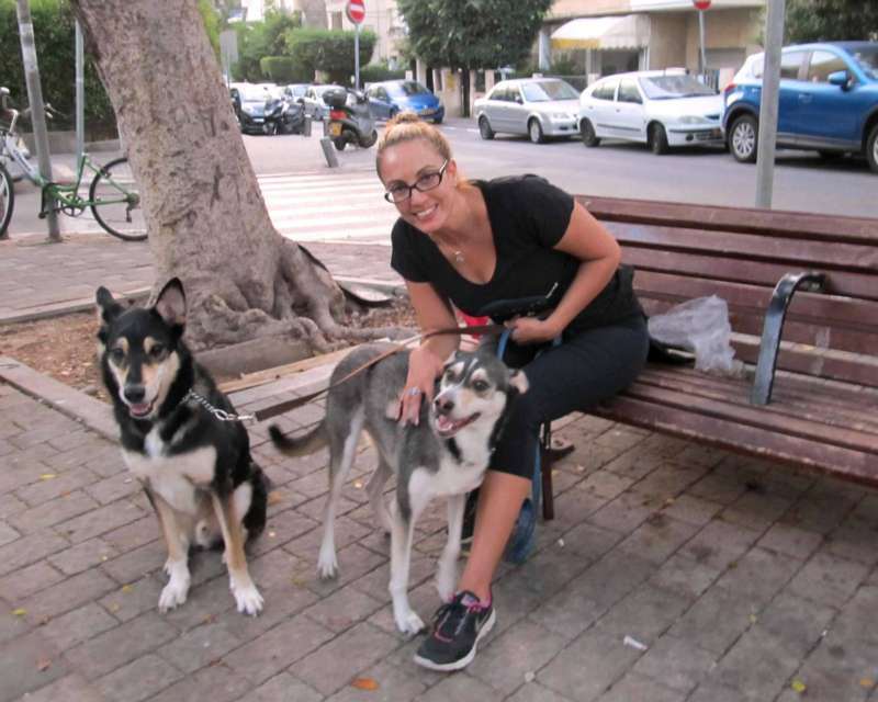 תמונה 4 ,שונות בע"ח אחרים   כלבים דוגסיטינג בתל אביב -יפו