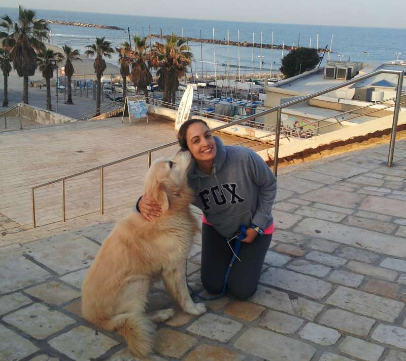 תמונה 3 ,שונות בע"ח אחרים   כלבים דוגסיטינג בתל אביב -יפו