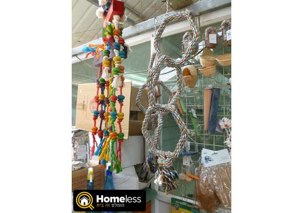 תמונה 3 ,תוכים ובעלי כנף ציוד ואביזרים   צעצועים  למכירה ברמות מאיר