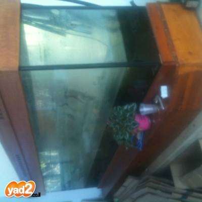 תמונה 1 ,דגים אקוואריום   אקווריום למכירה באשדוד